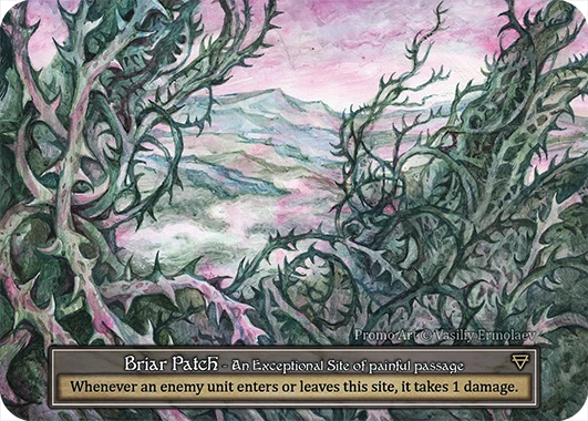 Briar Patch — promo catalogado pelo Collector Arthouse